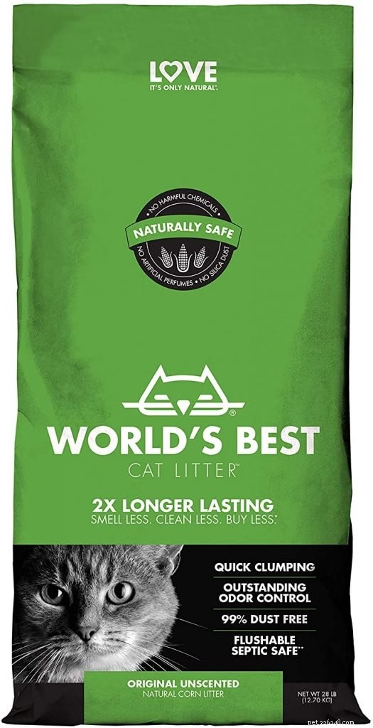 Top Eco-Friendly Cat Litters: Dust‑Free, Safe, and Sustainable