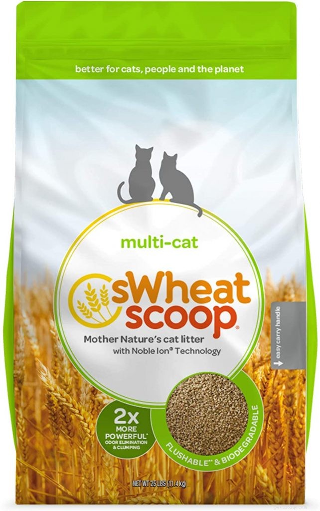 Top Eco-Friendly Cat Litters: Dust‑Free, Safe, and Sustainable