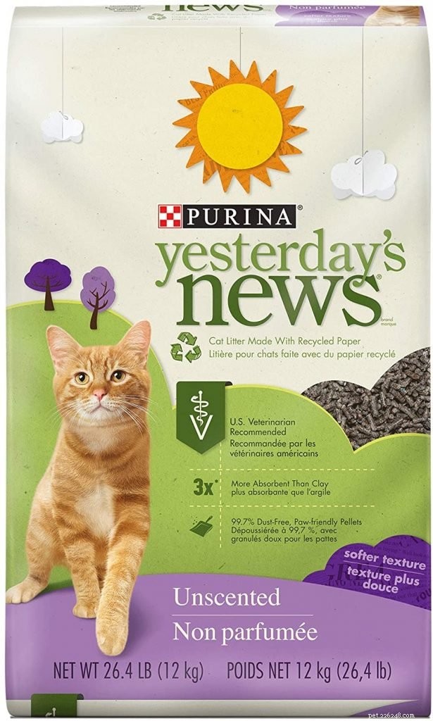 Top Eco-Friendly Cat Litters: Dust‑Free, Safe, and Sustainable