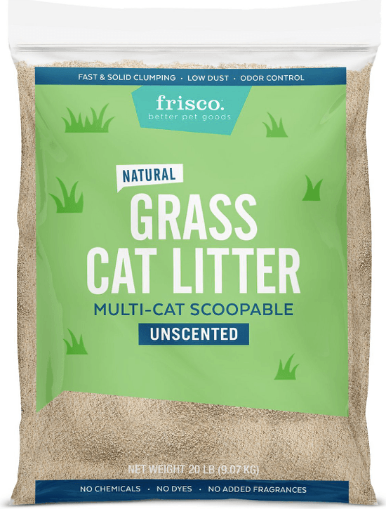 Top Eco-Friendly Cat Litters: Dust‑Free, Safe, and Sustainable