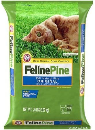 Top Eco-Friendly Cat Litters: Dust‑Free, Safe, and Sustainable