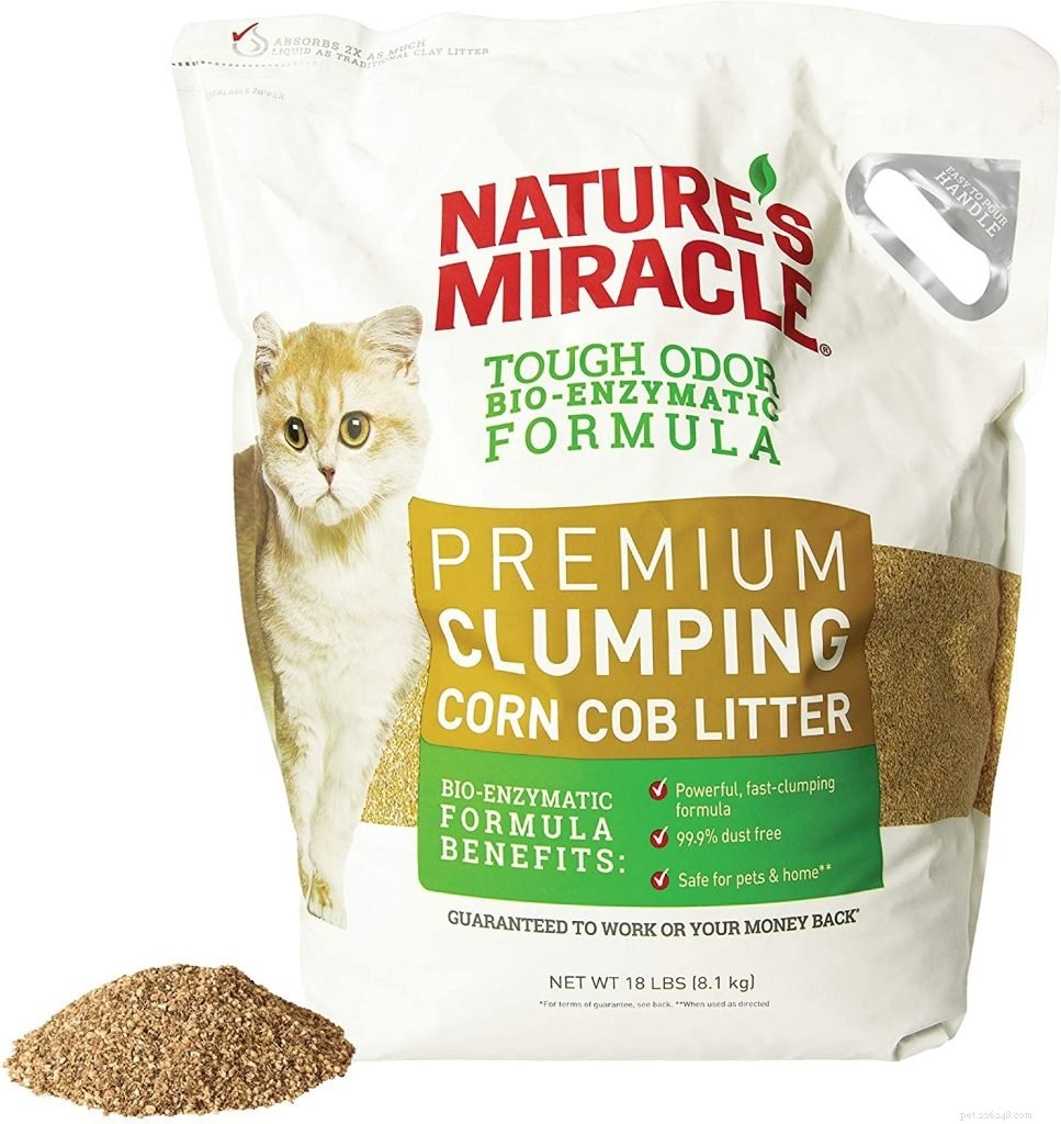 Top Eco-Friendly Cat Litters: Dust‑Free, Safe, and Sustainable