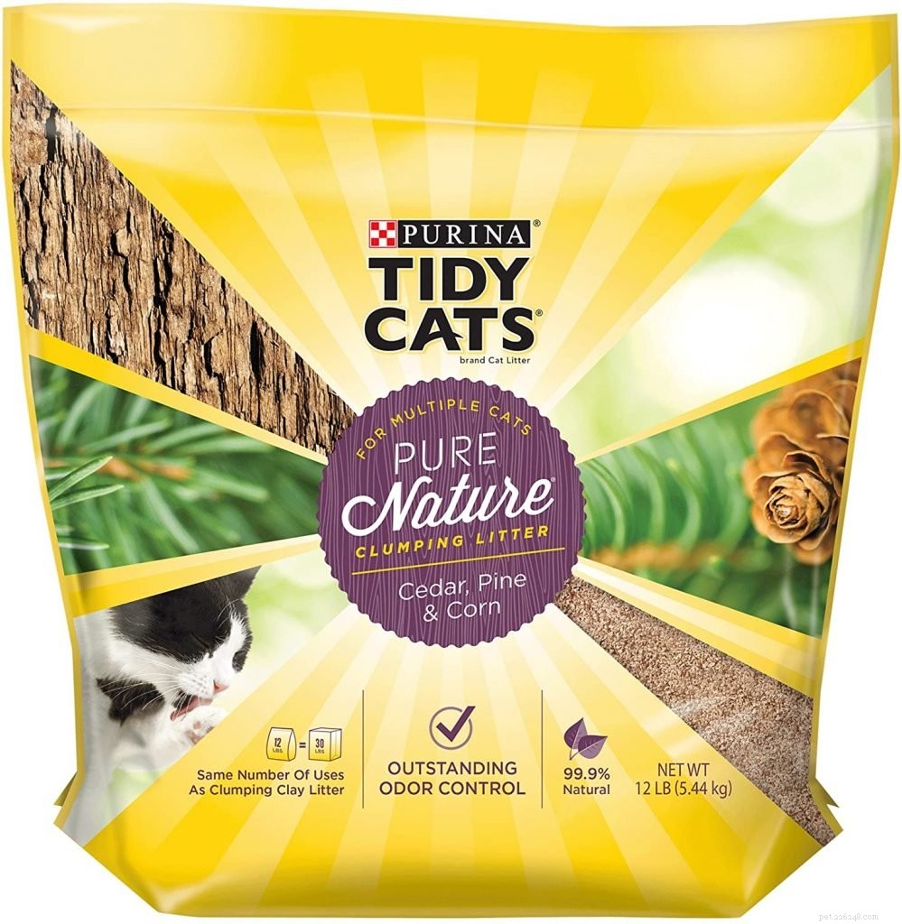 Top Eco-Friendly Cat Litters: Dust‑Free, Safe, and Sustainable