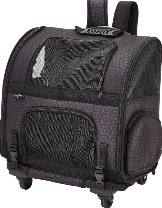 Top-Rated Cat Backpacks: Comfort & Convenience for Your Feline Companion