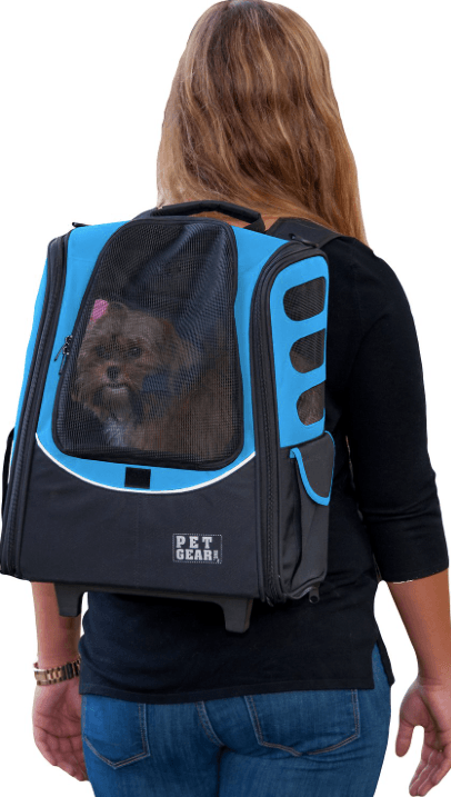 Top-Rated Cat Backpacks: Comfort & Convenience for Your Feline Companion