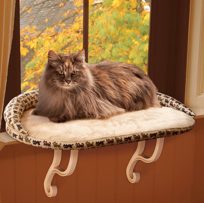 Top Cat Window Perches for Comfort & Curiosity
