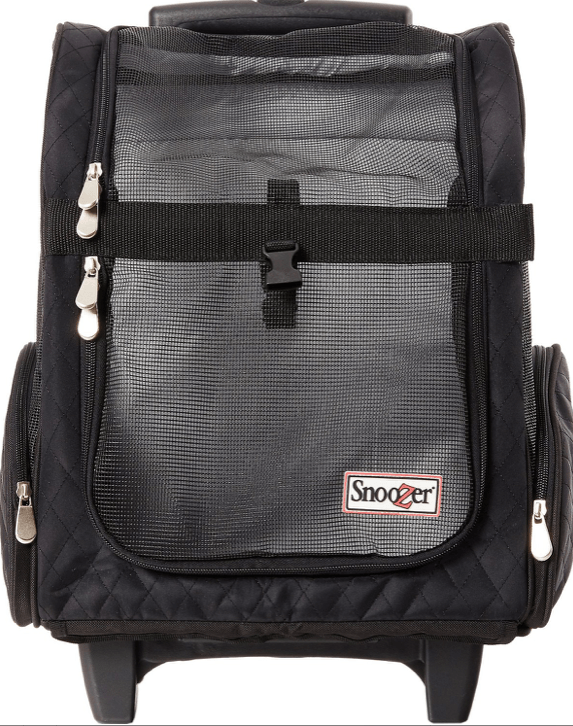 Top-Rated Cat Backpacks: Comfort & Convenience for Your Feline Companion
