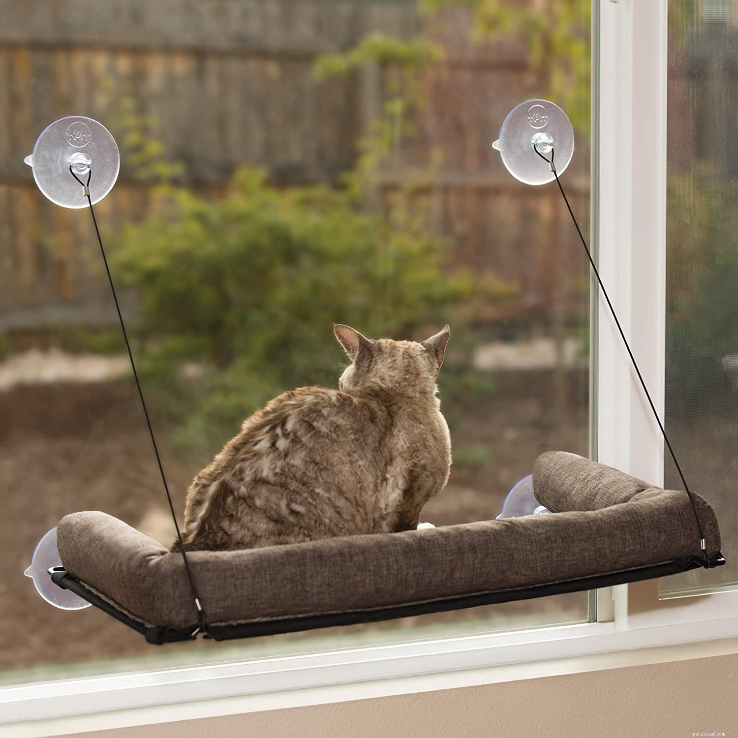 Top Cat Window Perches for Comfort & Curiosity