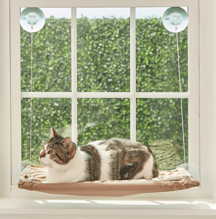 Top Cat Window Perches for Comfort & Curiosity