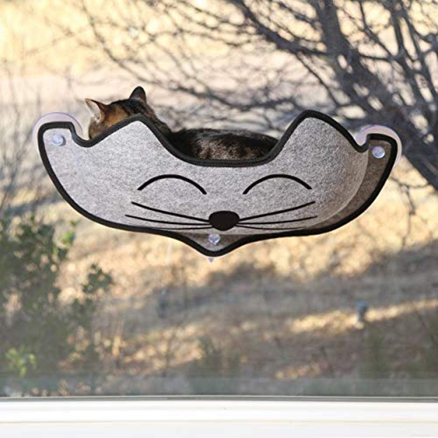 Top Cat Window Perches for Comfort & Curiosity