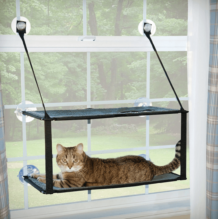 Top Cat Window Perches for Comfort & Curiosity