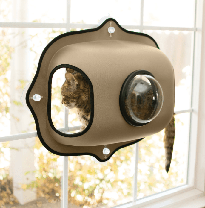Top Cat Window Perches for Comfort & Curiosity