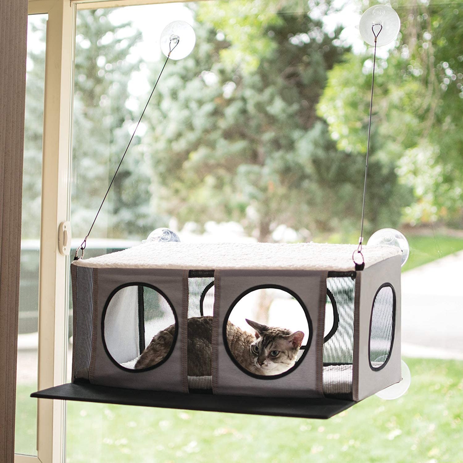 Top Cat Window Perches for Comfort & Curiosity