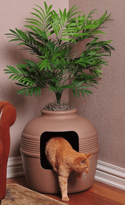Top Litter Box Furniture: Stylish Solutions to Hide Your Cat’s Box