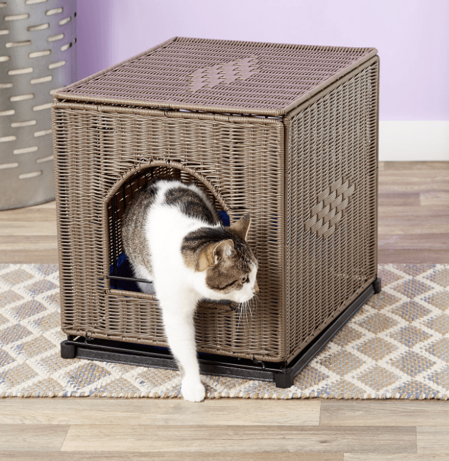 Top Litter Box Furniture: Stylish Solutions to Hide Your Cat’s Box