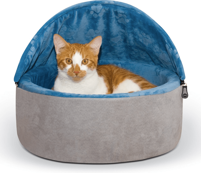 Best Covered Cat Beds for Cozy Comfort