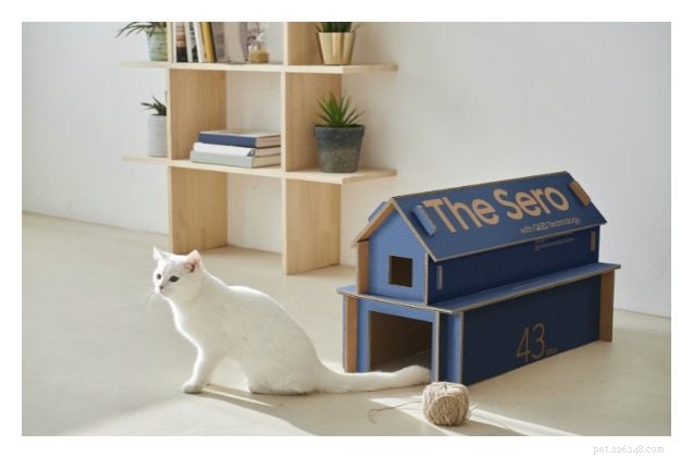 Samsung’s Eco‑Friendly TV Packaging Transforms into Stylish Cat Homes