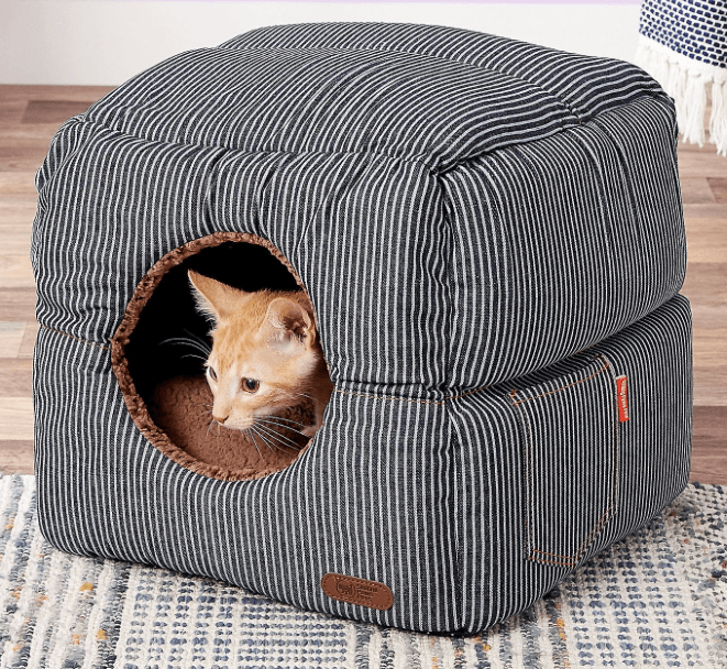 Best Covered Cat Beds for Cozy Comfort