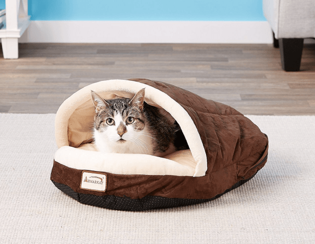 Best Covered Cat Beds for Cozy Comfort