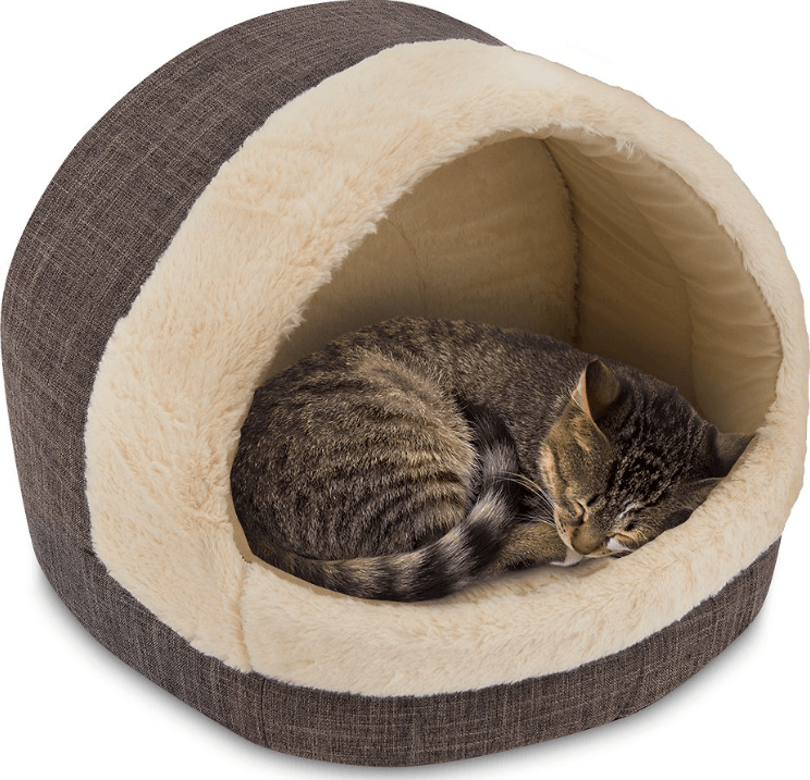 Best Covered Cat Beds for Cozy Comfort