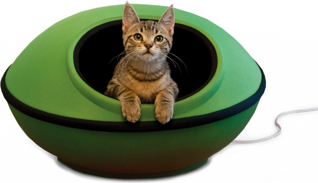 Best Covered Cat Beds for Cozy Comfort