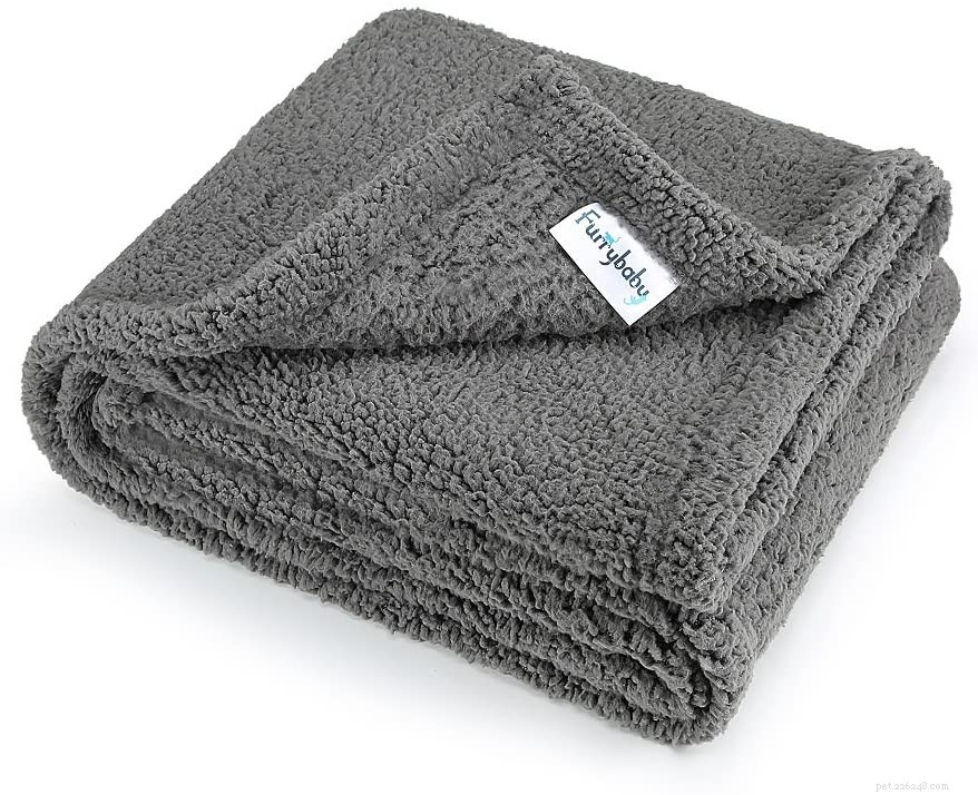 Top-Rated Cat Blankets for Ultimate Comfort & Safety