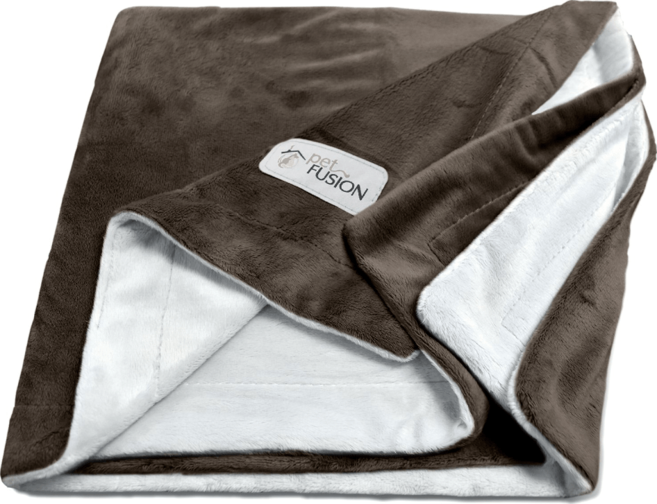 Top-Rated Cat Blankets for Ultimate Comfort & Safety