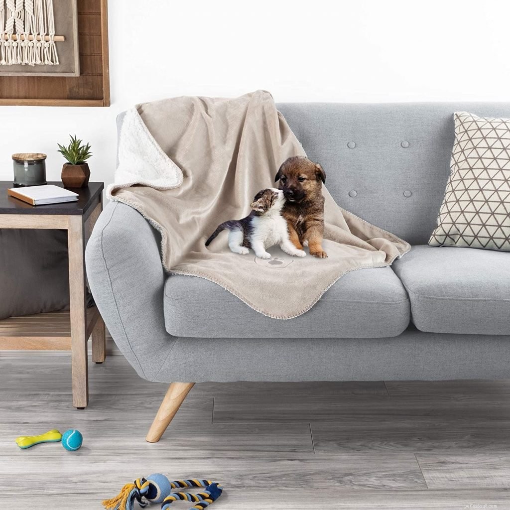 Top-Rated Cat Blankets for Ultimate Comfort & Safety