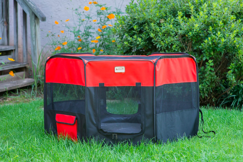 Top Cat Enclosures: Protect Your Home & Keep Your Feline Safe