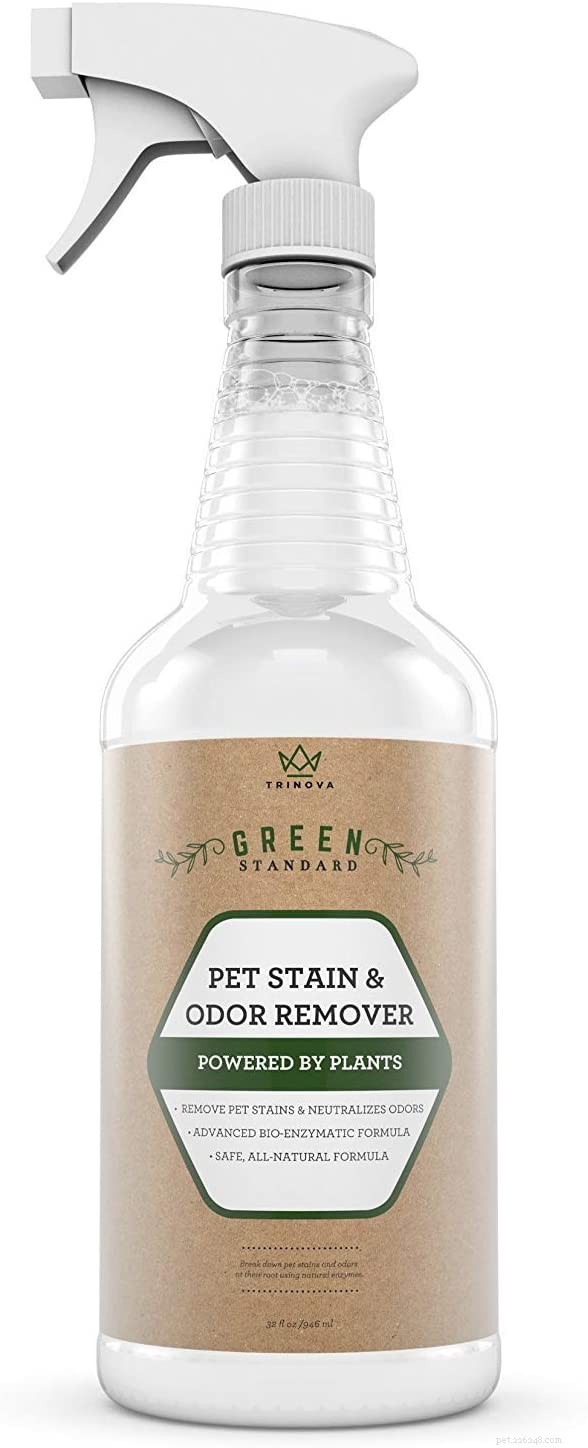 8 Trusted Cat‑Safe Cleaning Products for a Spotless Home