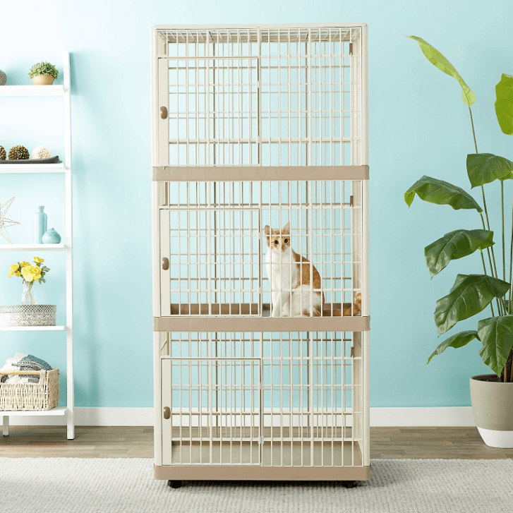 Top Cat Enclosures: Protect Your Home & Keep Your Feline Safe