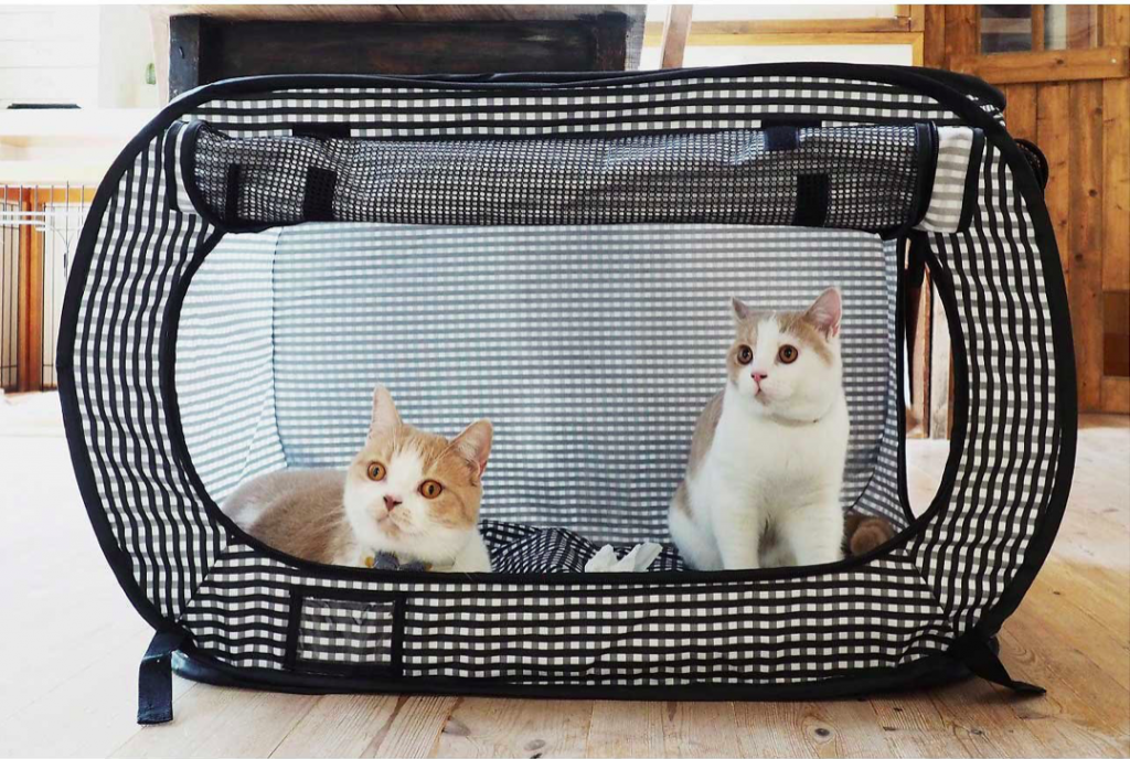 Top Cat Enclosures: Protect Your Home & Keep Your Feline Safe
