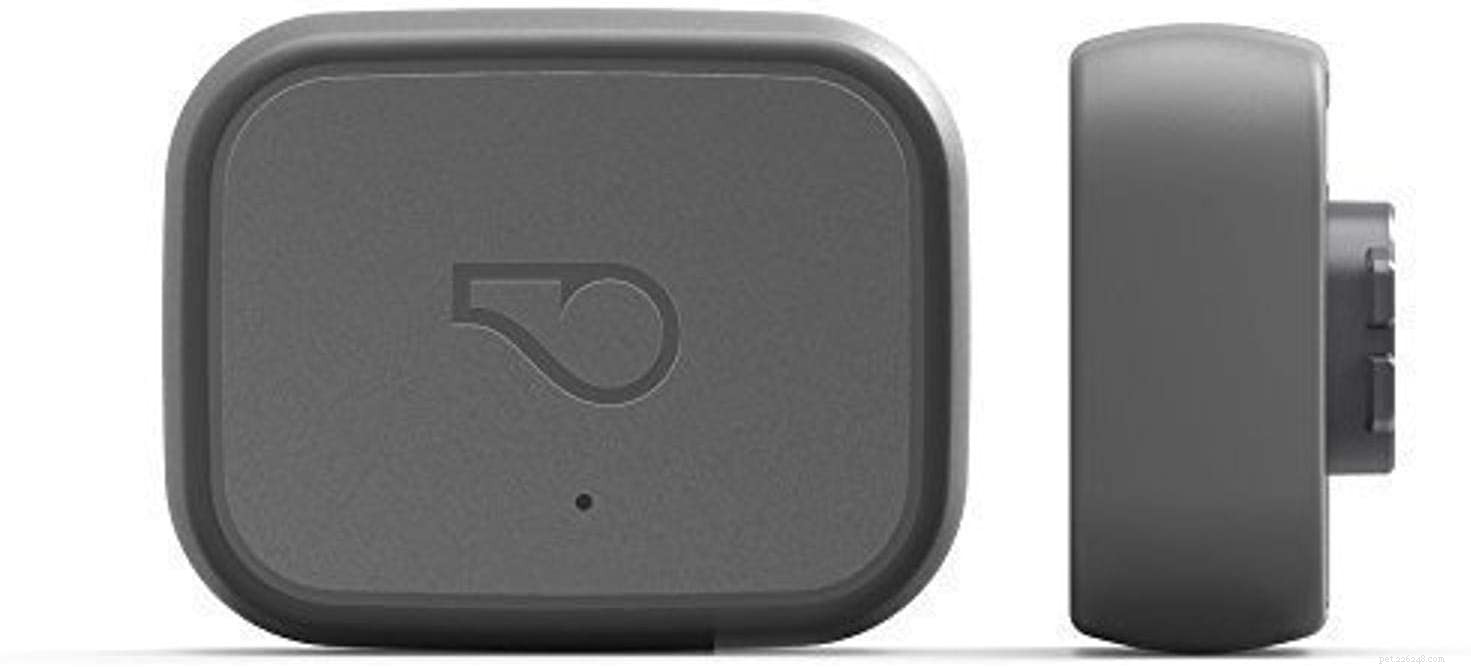 Top GPS Cat Trackers & Collars for Safety and Peace of Mind