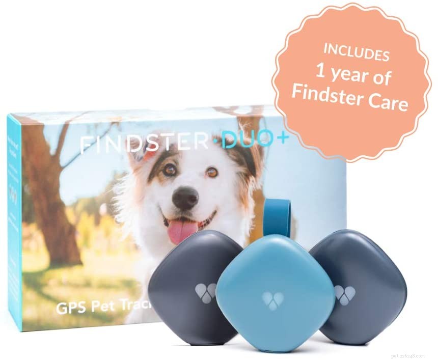 Top GPS Cat Trackers & Collars for Safety and Peace of Mind