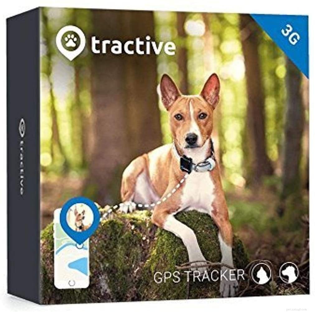 Top GPS Cat Trackers & Collars for Safety and Peace of Mind