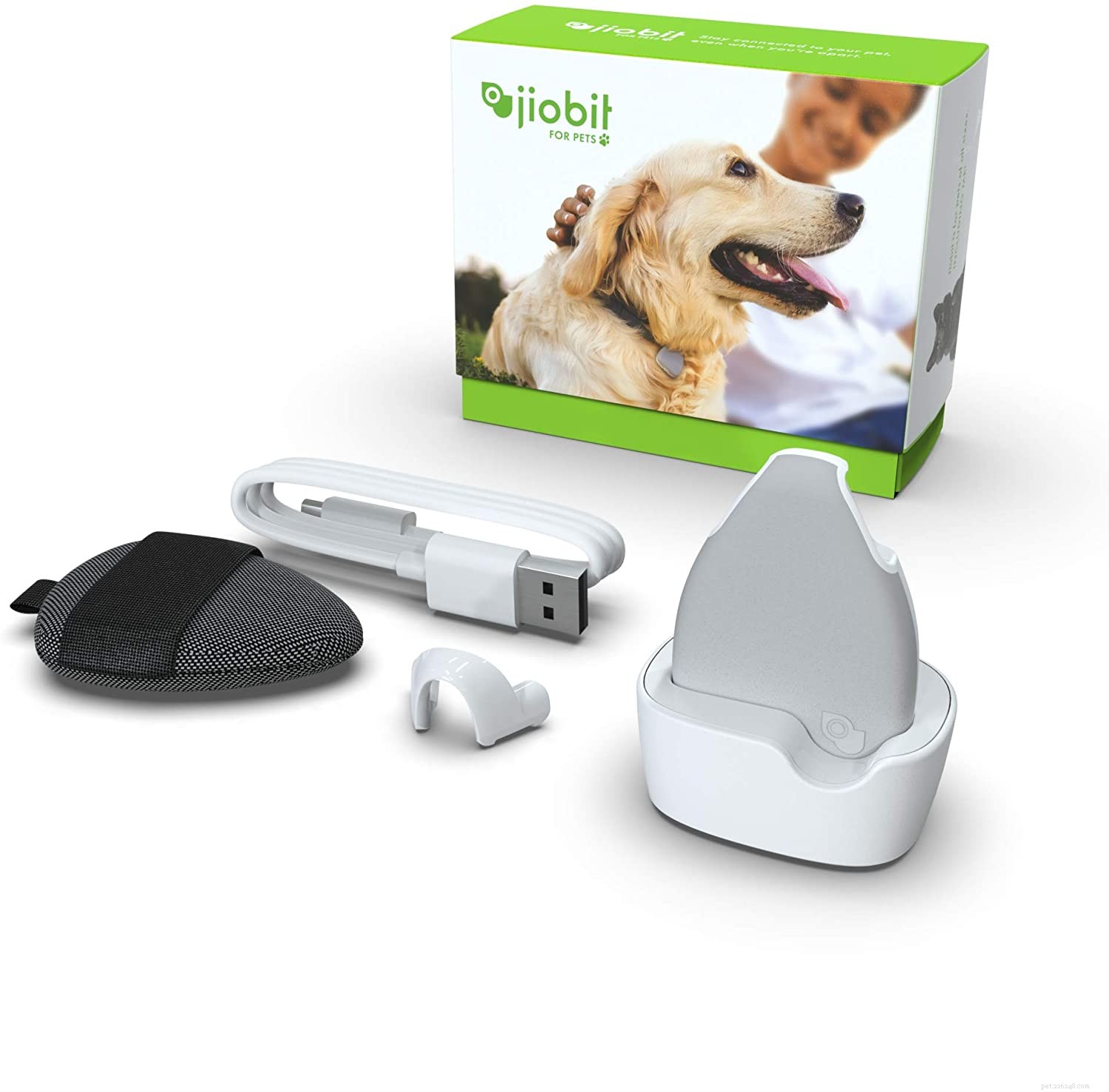 Top GPS Cat Trackers & Collars for Safety and Peace of Mind