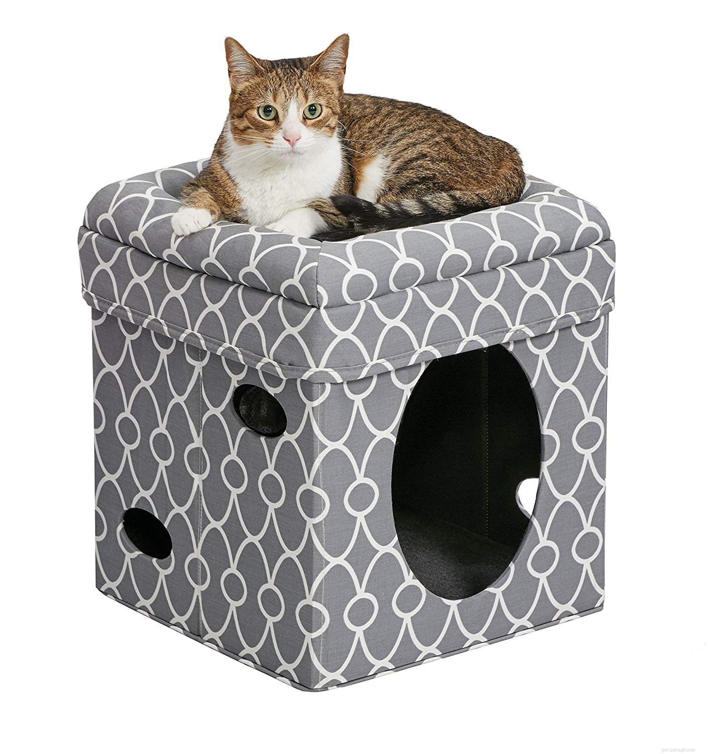 Top 10 Premium Cat Beds for Ultimate Comfort