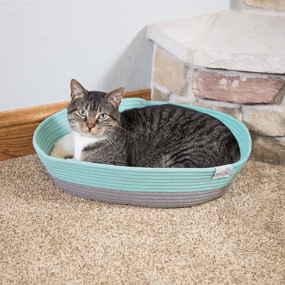 Top 10 Premium Cat Beds for Ultimate Comfort