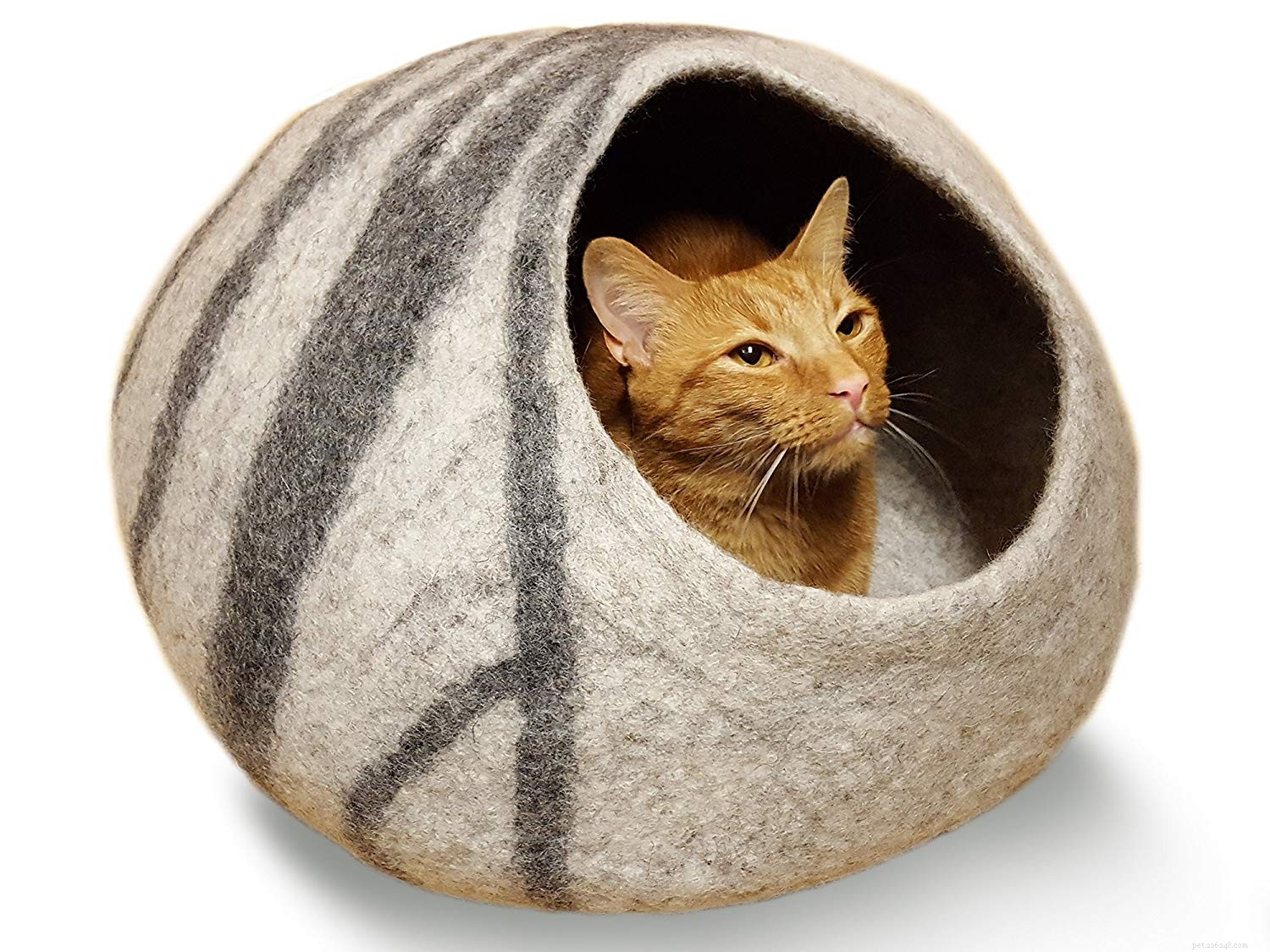 Top 10 Premium Cat Beds for Ultimate Comfort