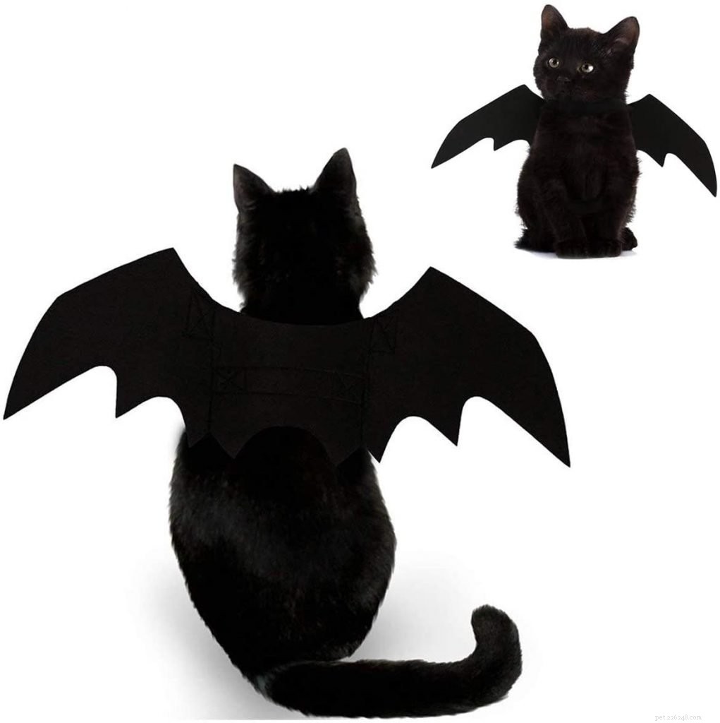 10 Creative Cat Costumes for Halloween: Fun, Easy & Safe
