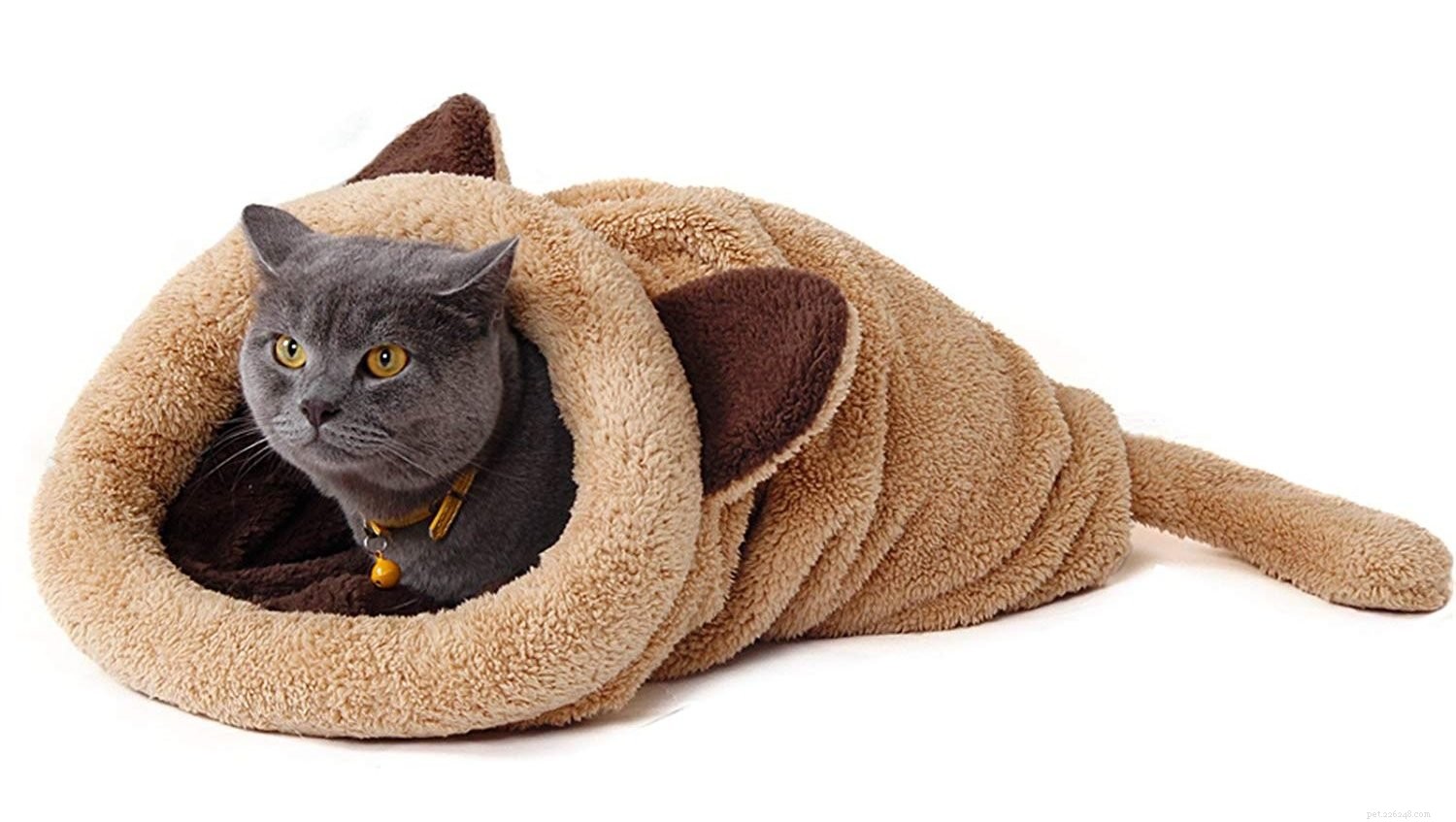 Top 10 Premium Cat Beds for Ultimate Comfort
