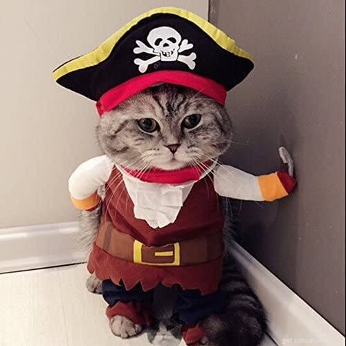 10 Creative Cat Costumes for Halloween: Fun, Easy & Safe