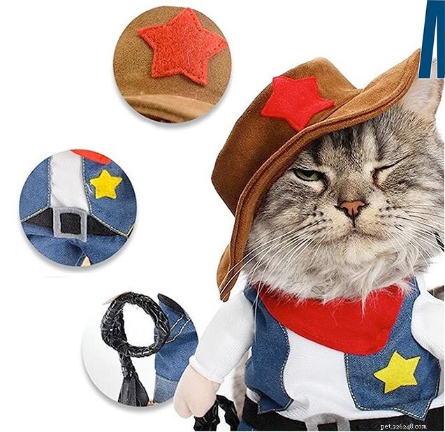 10 Creative Cat Costumes for Halloween: Fun, Easy & Safe