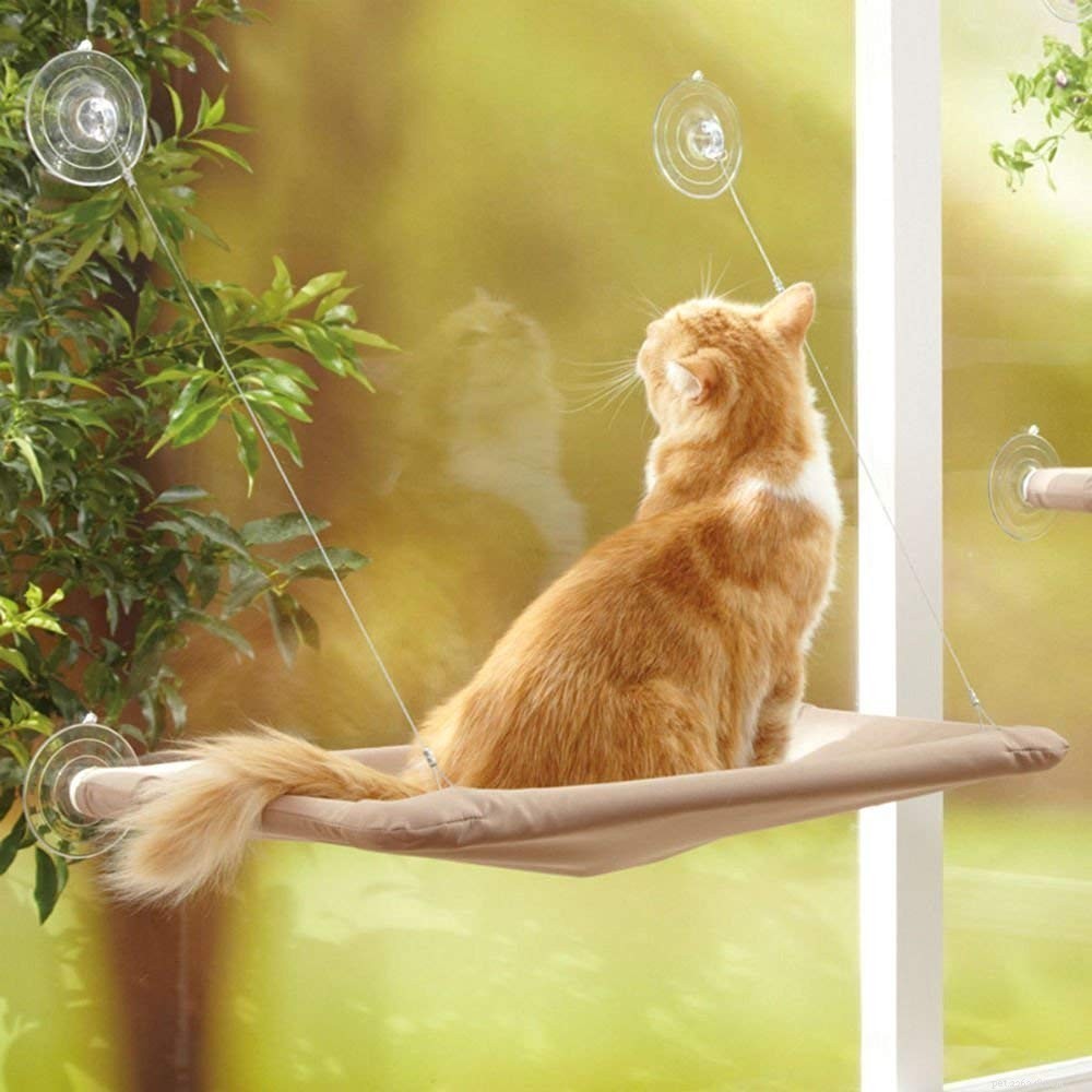Top Cat Hammocks for Ultimate Comfort & Style