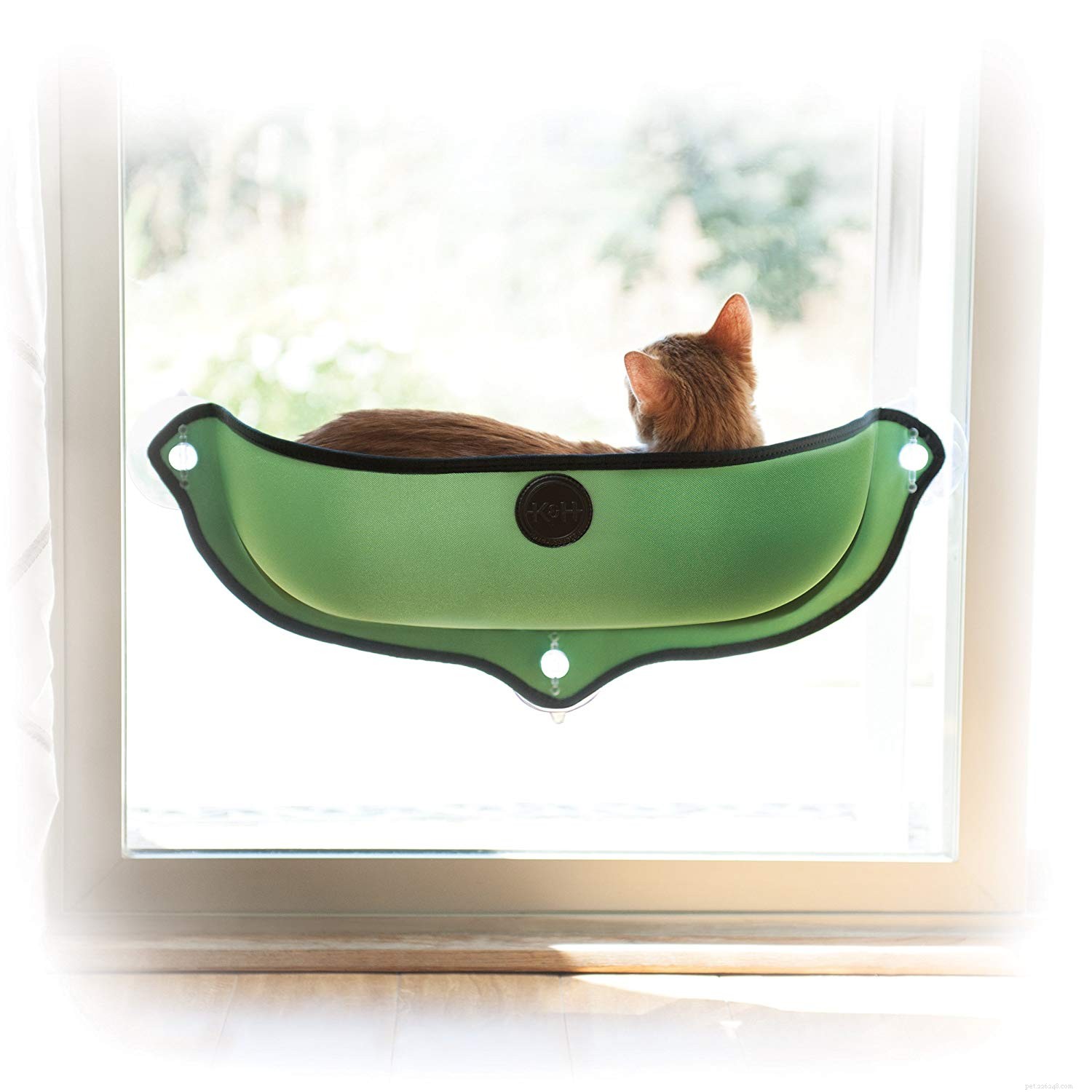 Top Cat Hammocks for Ultimate Comfort & Style