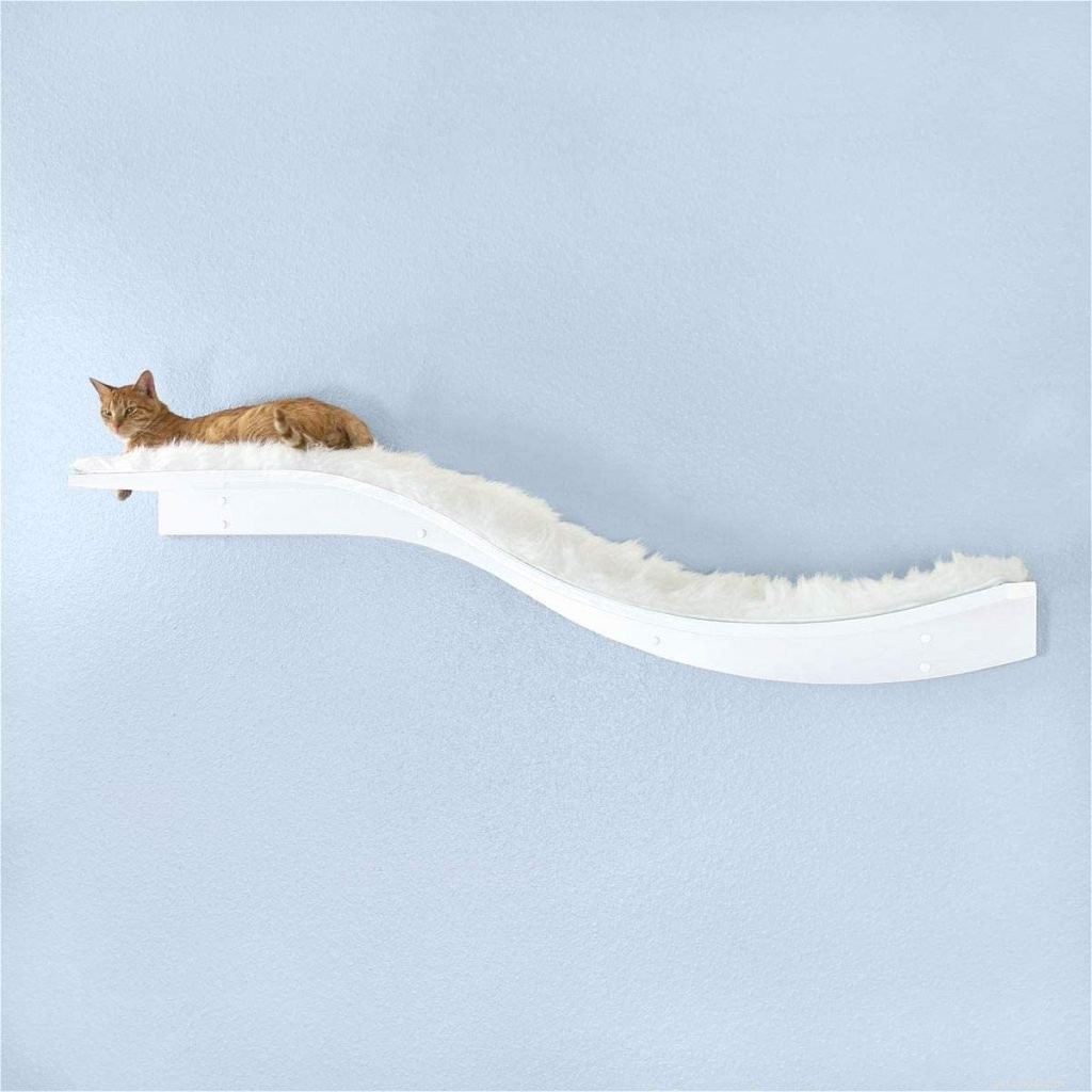 Top 10 Wall Perches for Cats: Secure, Stylish, and Cat‑Friendly Solutions