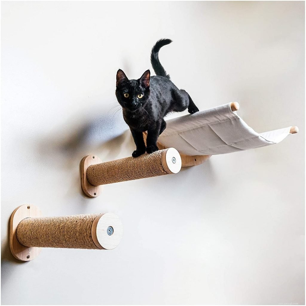 Top 10 Wall Perches for Cats: Secure, Stylish, and Cat‑Friendly Solutions