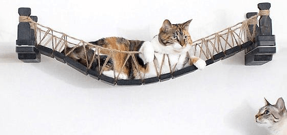 Top 10 Wall Perches for Cats: Secure, Stylish, and Cat‑Friendly Solutions