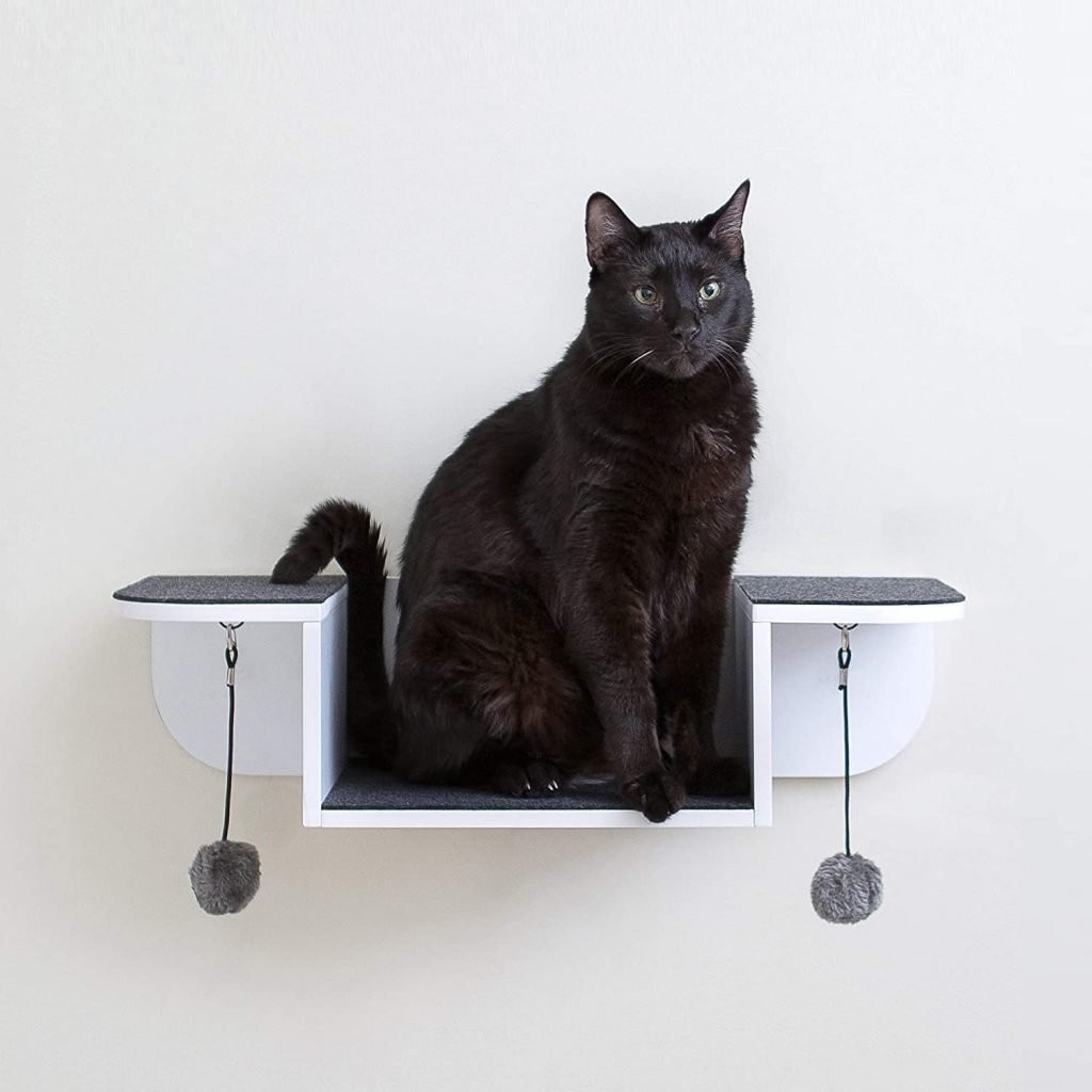 Top 10 Wall Perches for Cats: Secure, Stylish, and Cat‑Friendly Solutions