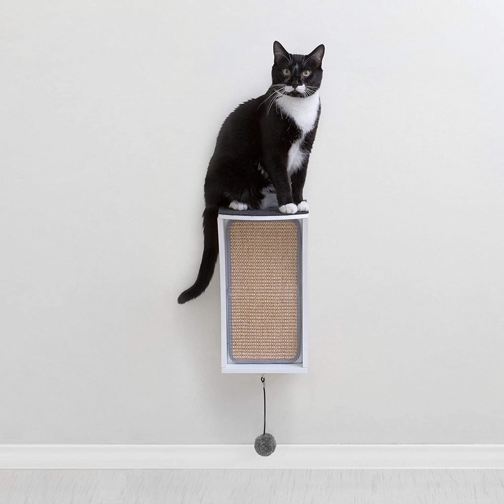 Top 10 Wall Perches for Cats: Secure, Stylish, and Cat‑Friendly Solutions